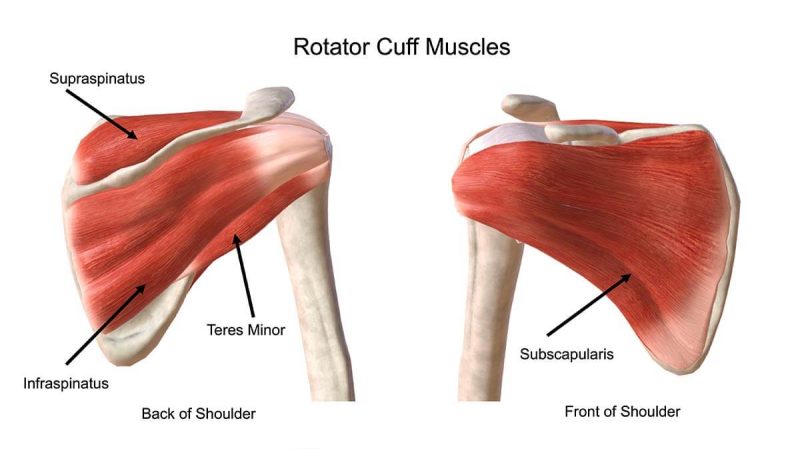 Rotator Cuff Tear Diagram